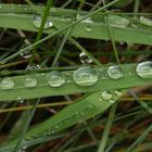 Herbst 2017 - Nach dem Regen ... ist vor dem Regen