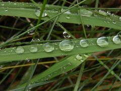 Herbst 2017 - Nach dem Regen ... ist vor dem Regen