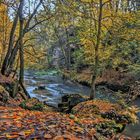 Herbst 2017,Schwarzach -Schlucht