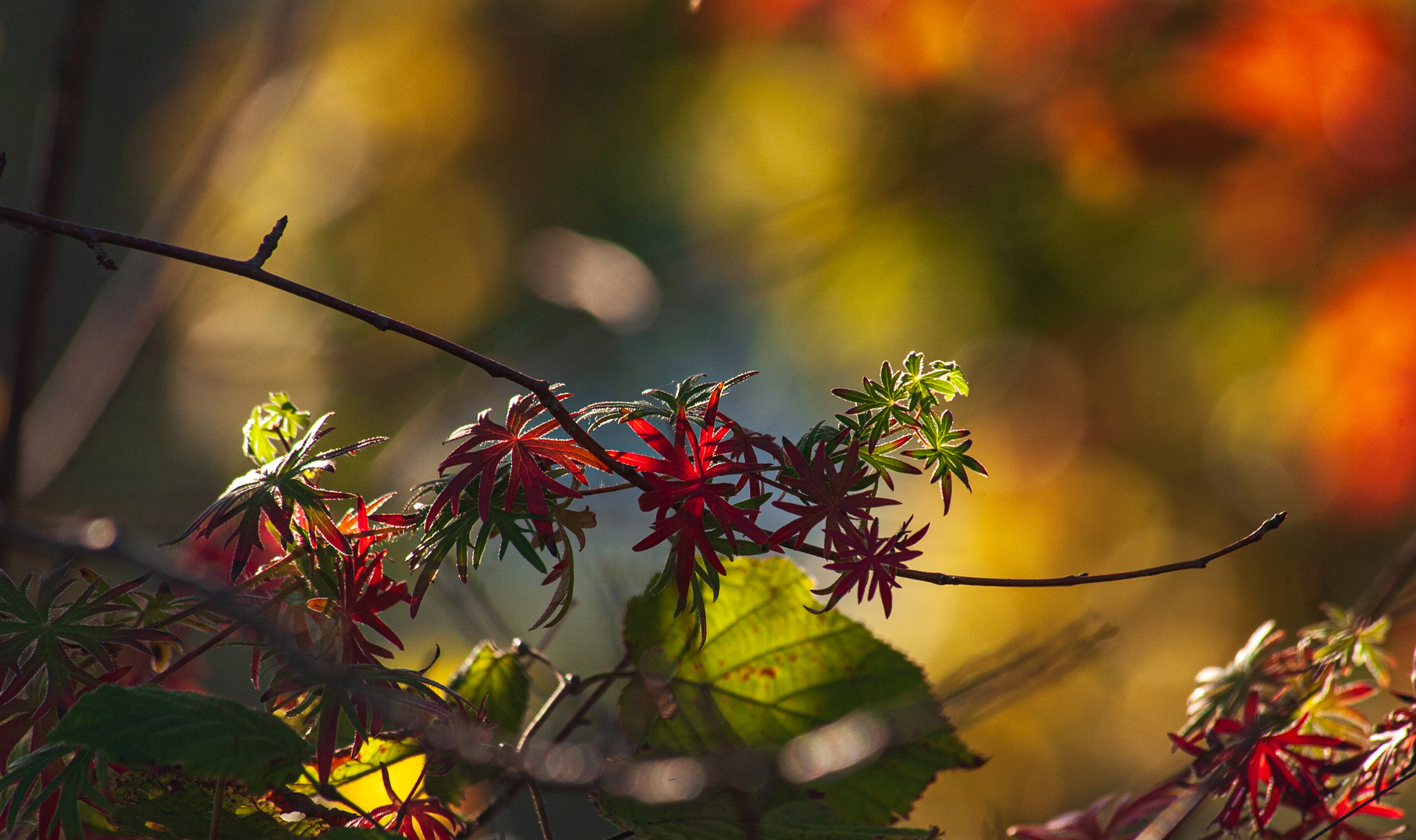 Herbst 2018