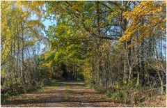 Herbst-2018