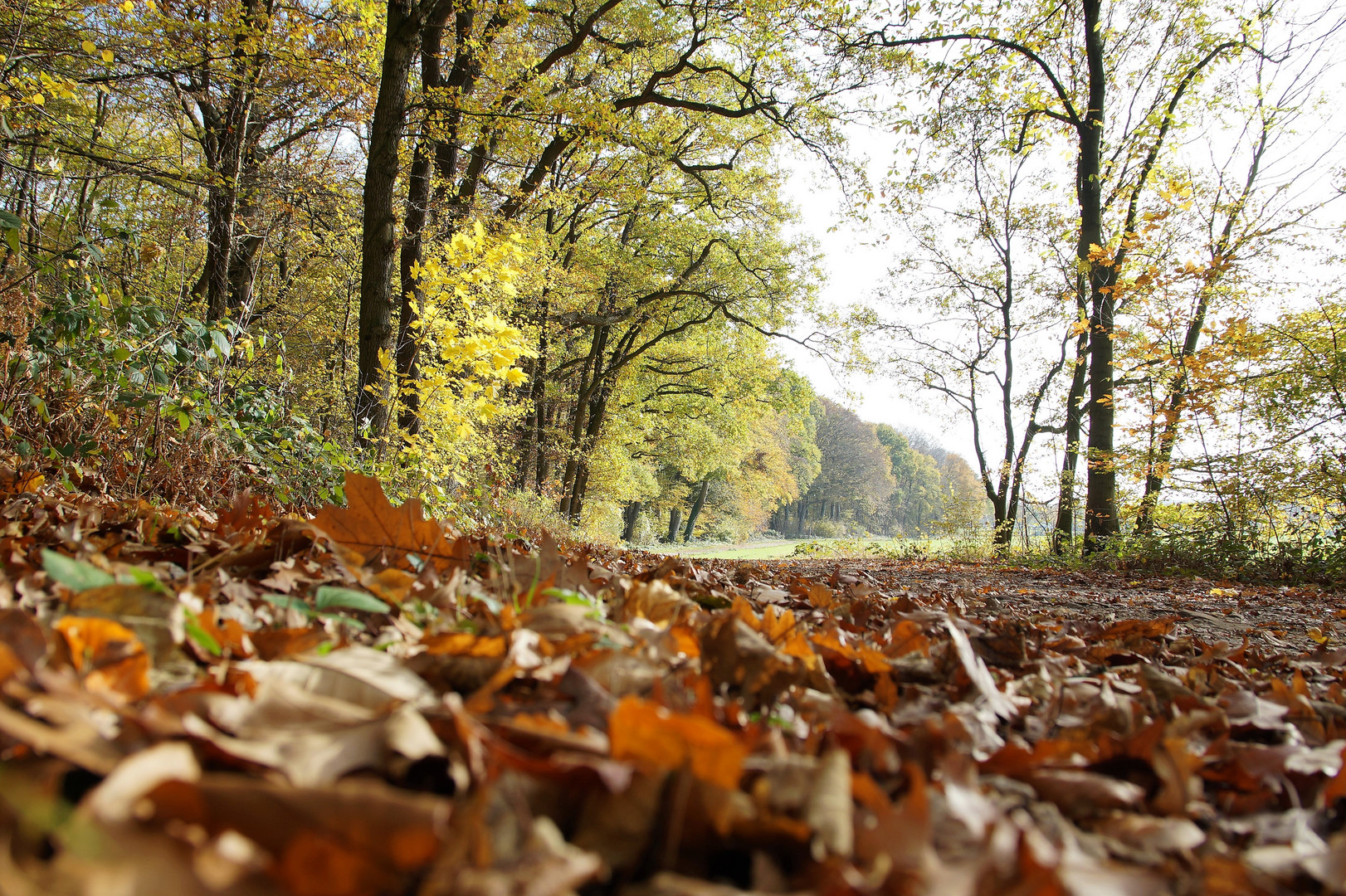 Herbst 2018