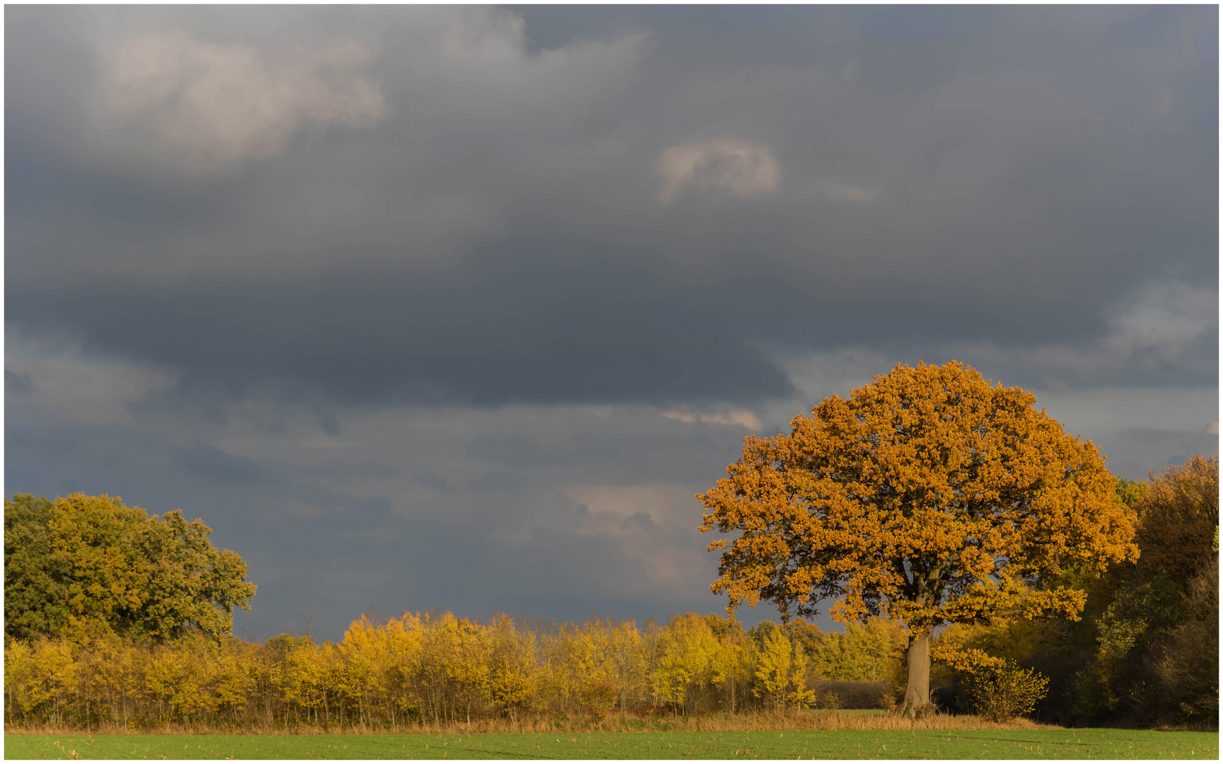 Herbst 2018