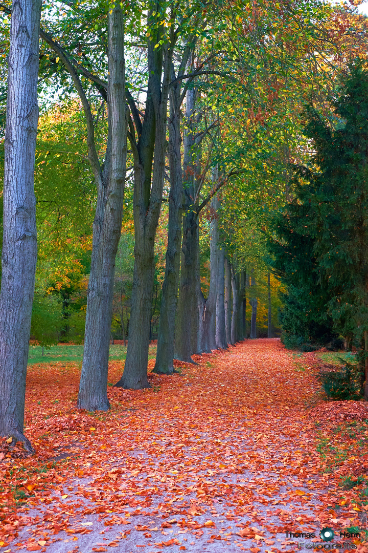 Herbst 2018