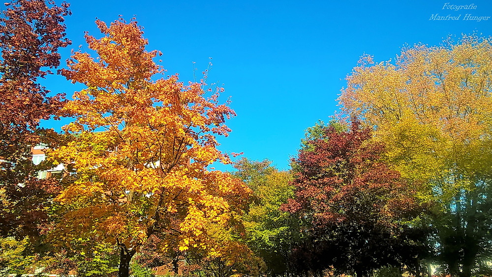 Herbst 2018 - Inidan Summer