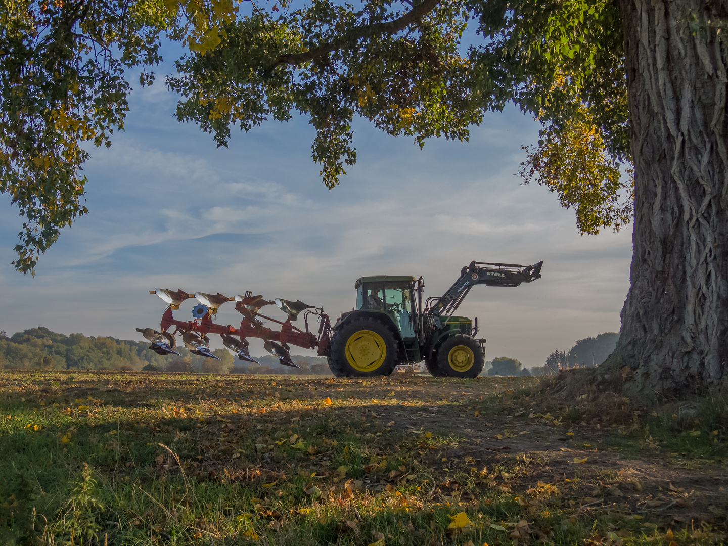 Herbst 2018 John Deere 6210   DSCN4860