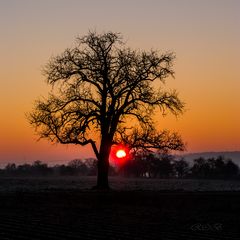 Herbst-20181123-22006