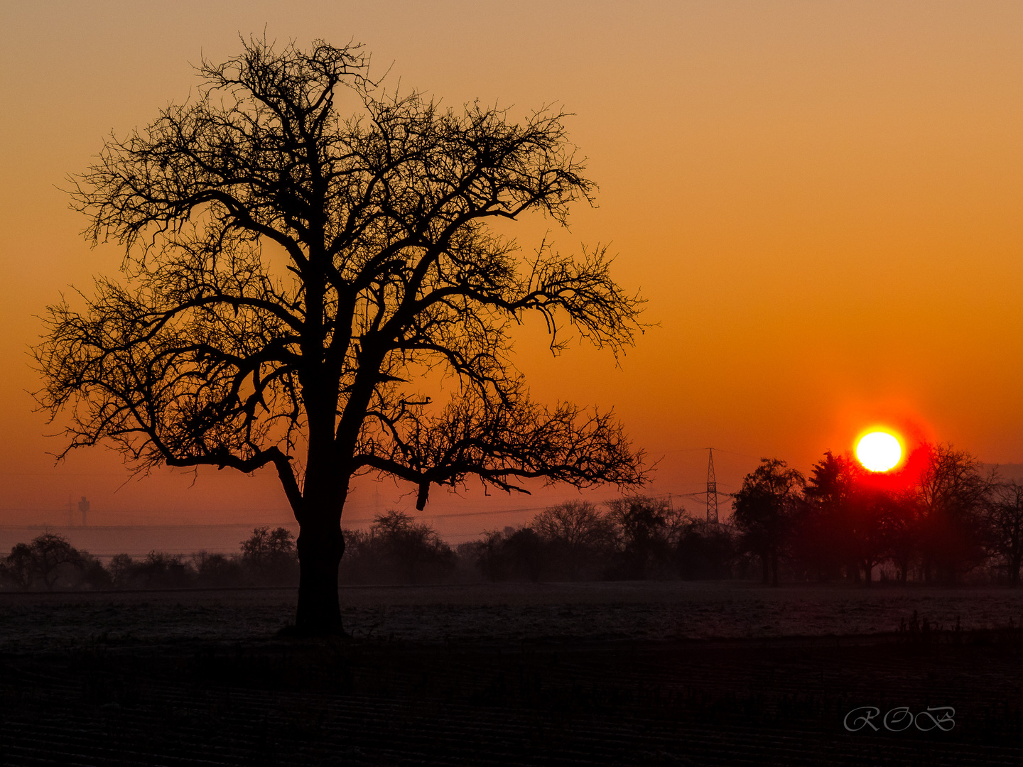 Herbst-20181123-22012