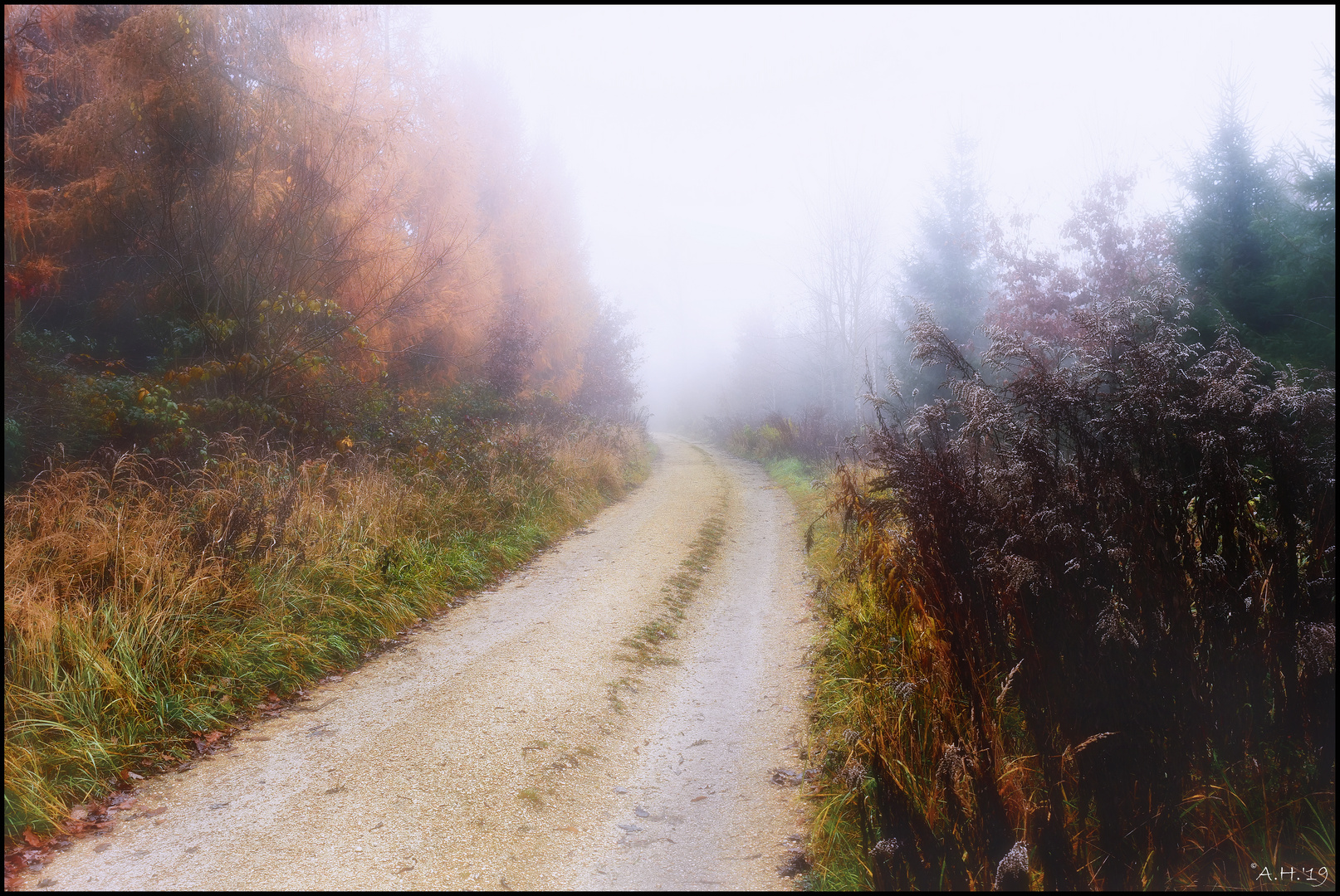 Herbst 2019