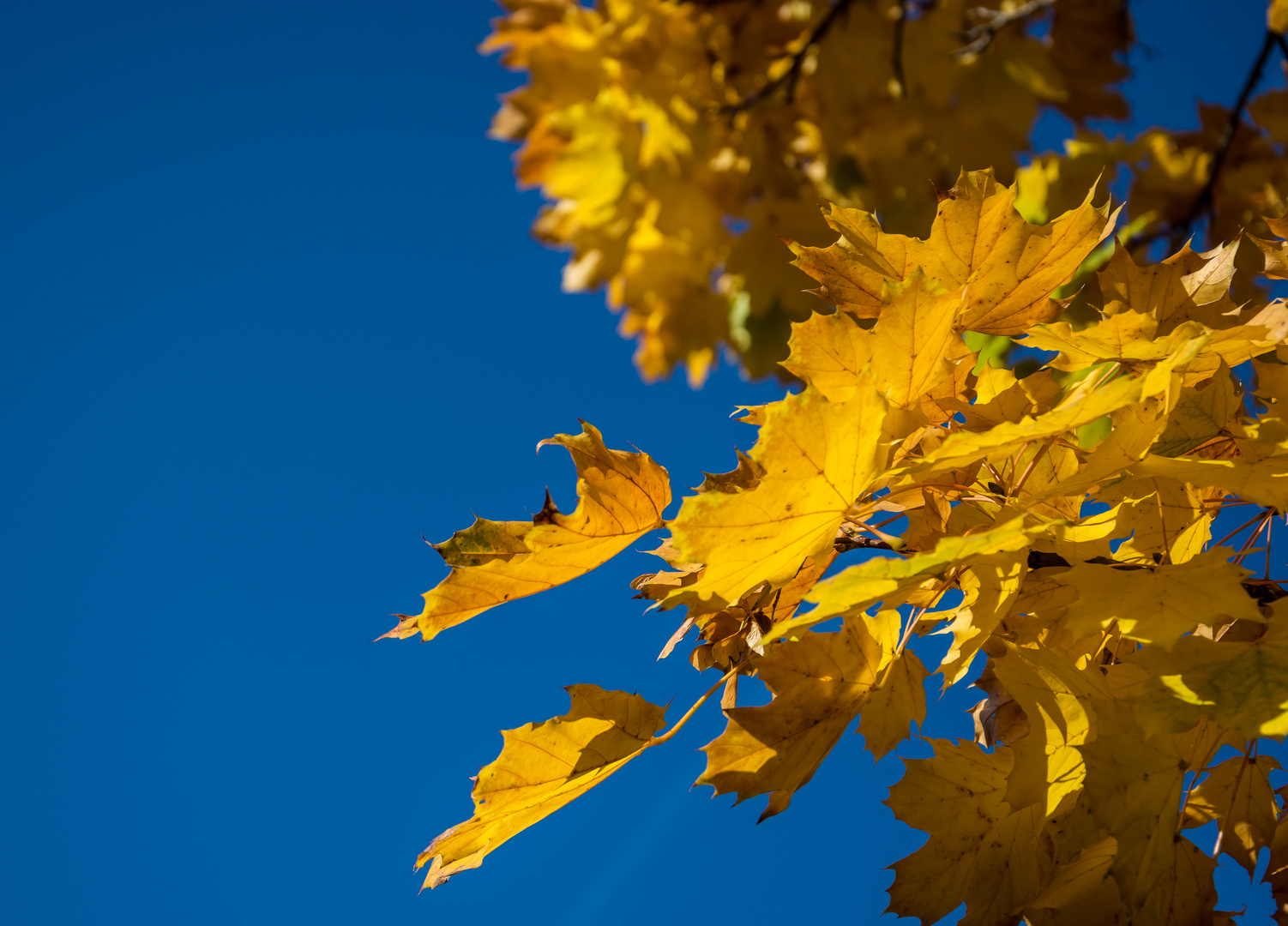 Herbst 2019