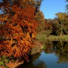 Herbst 2019 im Fürst- Pückler- Park Bad Muskau