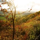 Herbst 2019 Impressionen von den Dieteröder Klippen