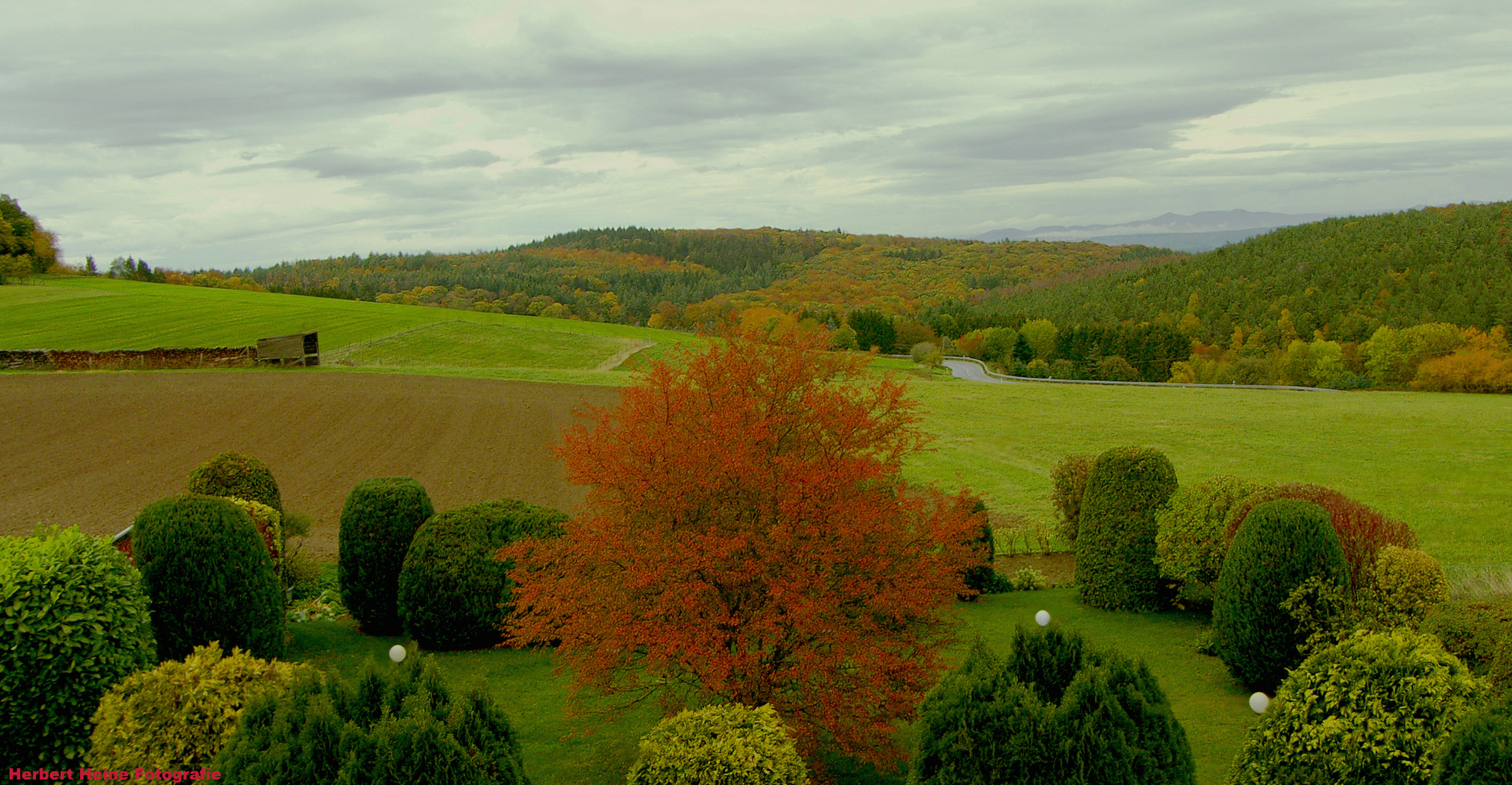 Herbst 2020: „In meiner kleinen Welt“.......