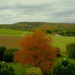 Herbst 2020: „In meiner kleinen Welt“.......