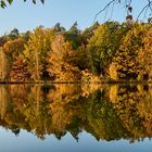 Herbst 2021, der Blick auf die schöne Spiegelung war nur durch die Zweige von einen Baum...