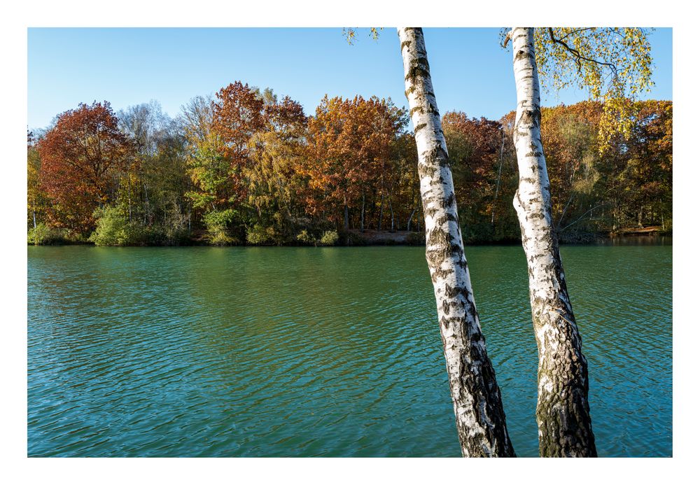 Herbst 2021, ein vergessenes Herbstbild