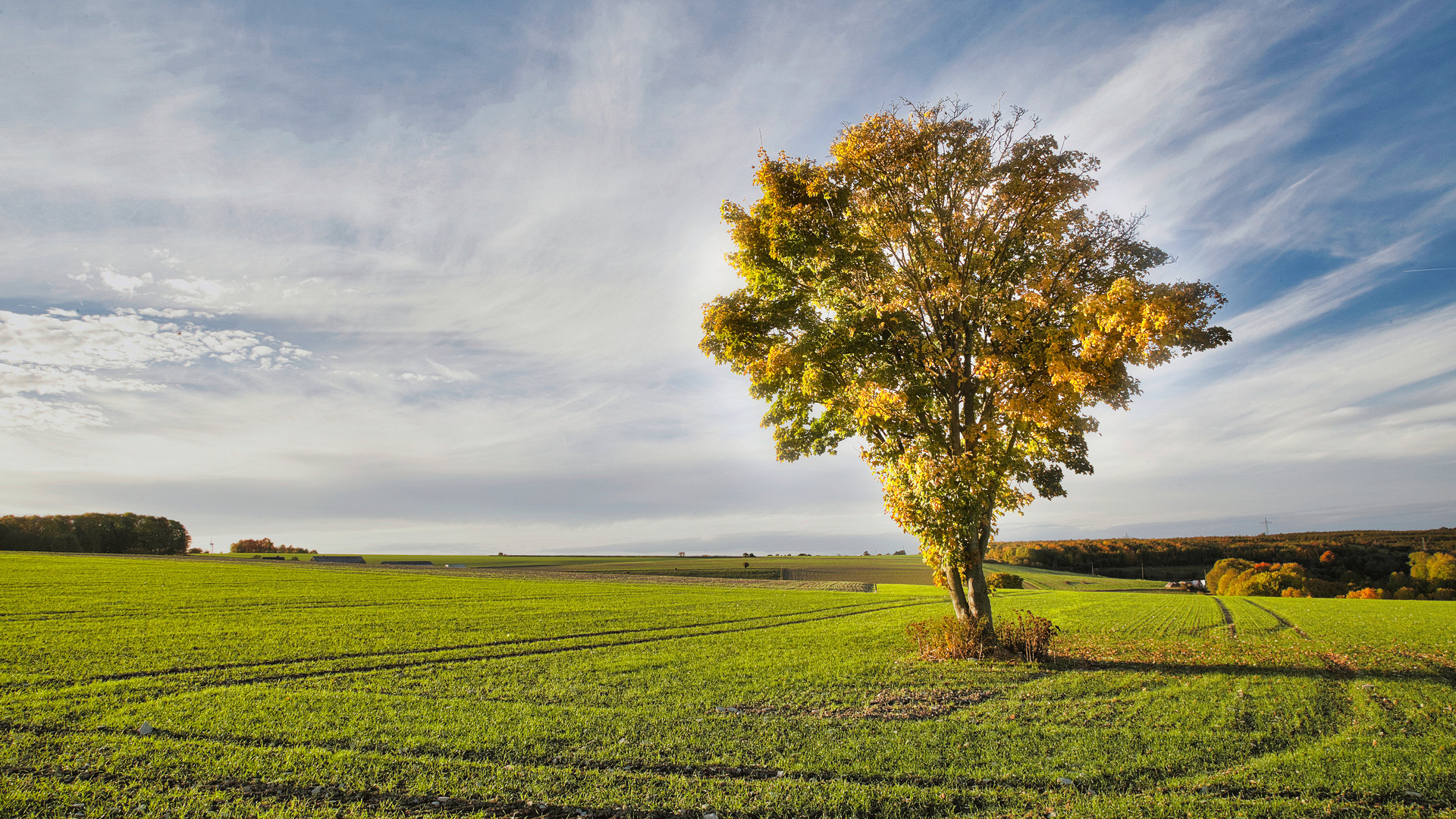 Herbst 2022-10-28-3