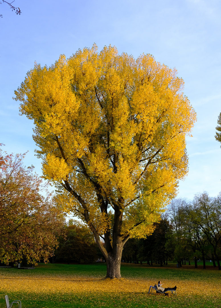 Herbst 2022 im Britzer Garten Foto & Bild natur, jahreszeiten Bilder