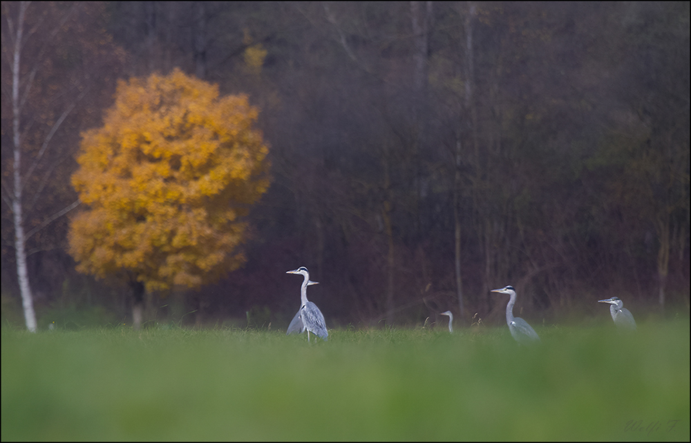 Herbst !