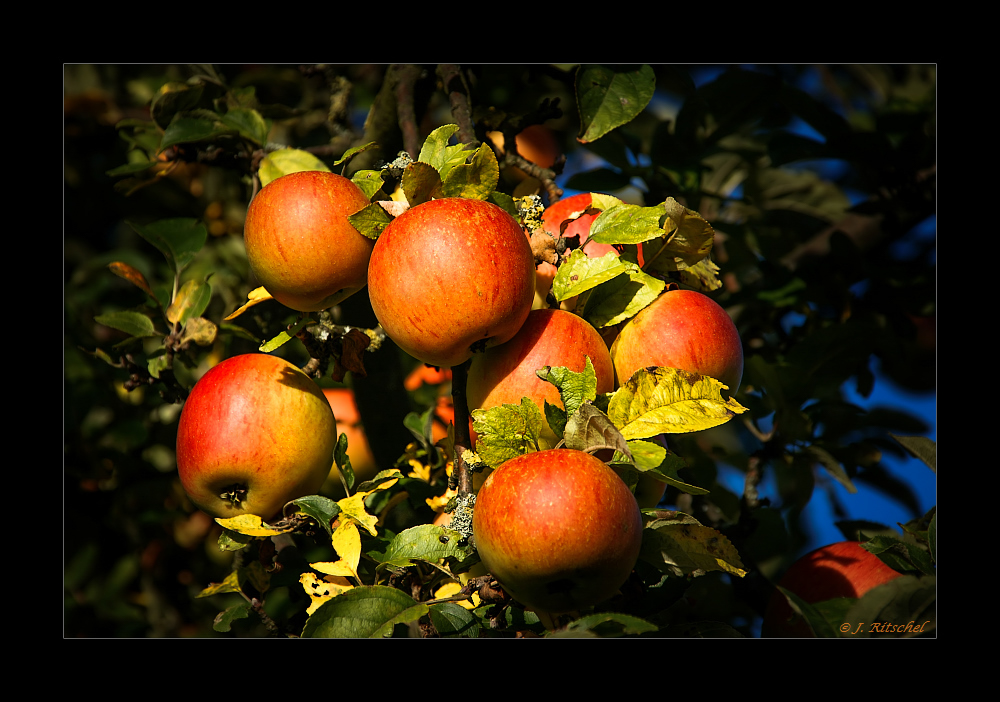 Herbst 2/2014