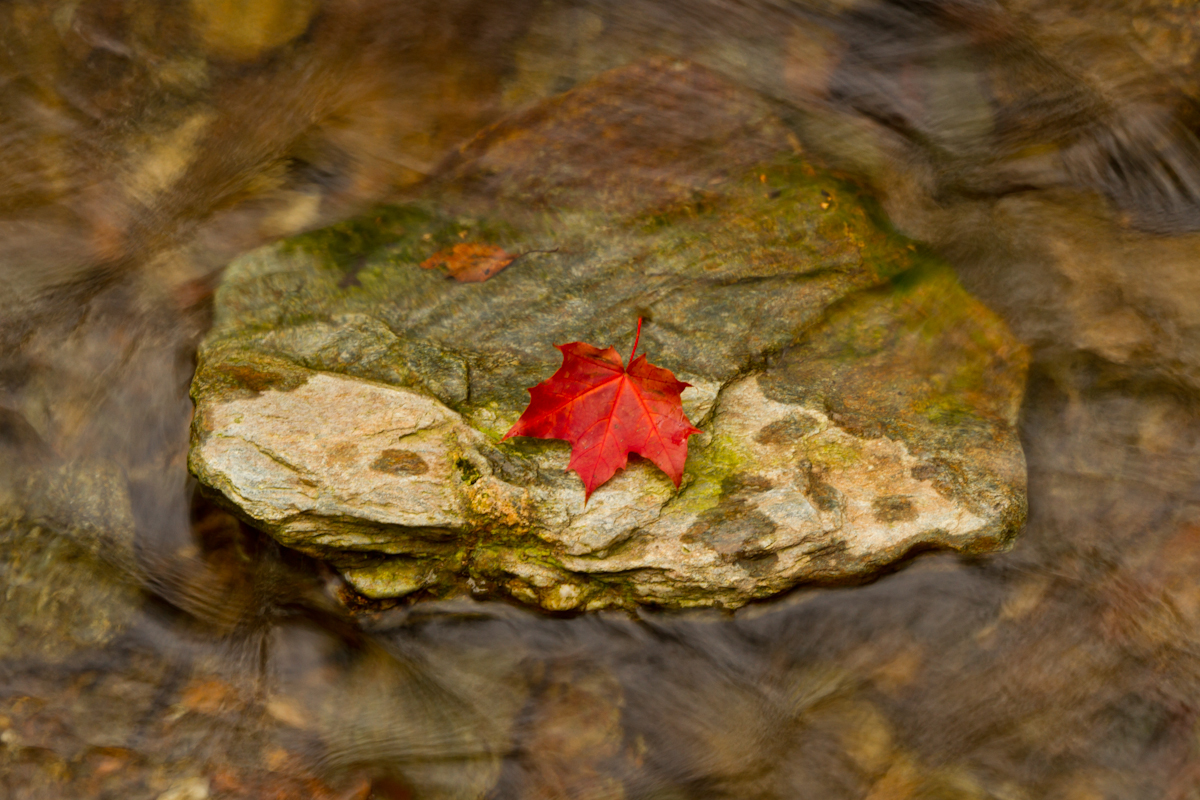 *** Herbst ***