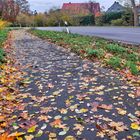 Herbst 23-4-