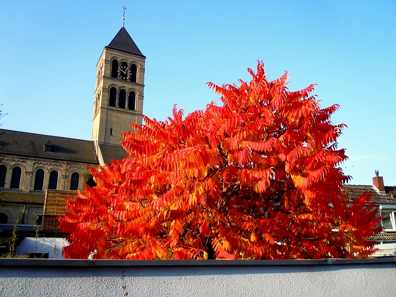 Herbst 23.10.2012 Df.- Hamm