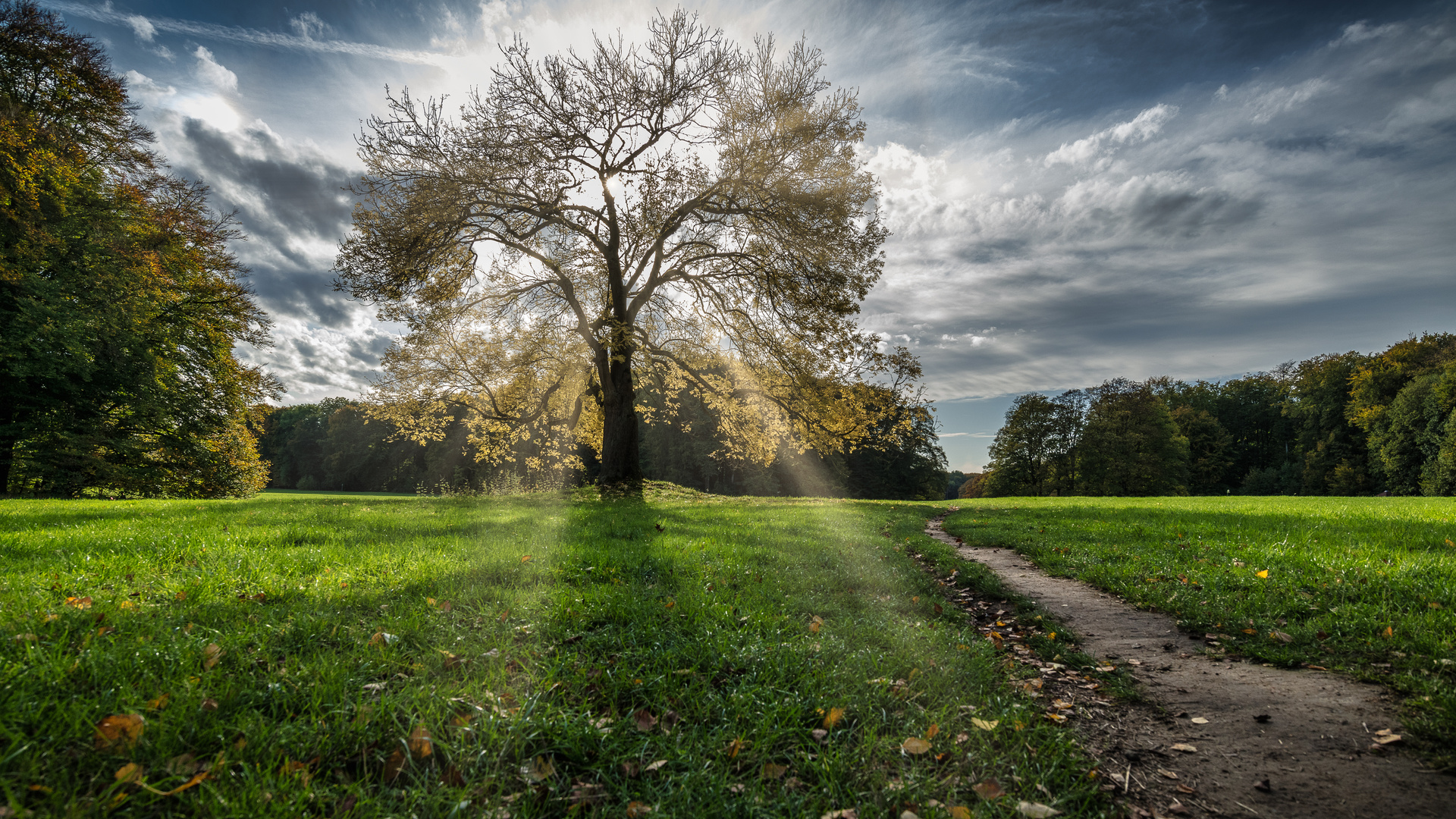 Herbst