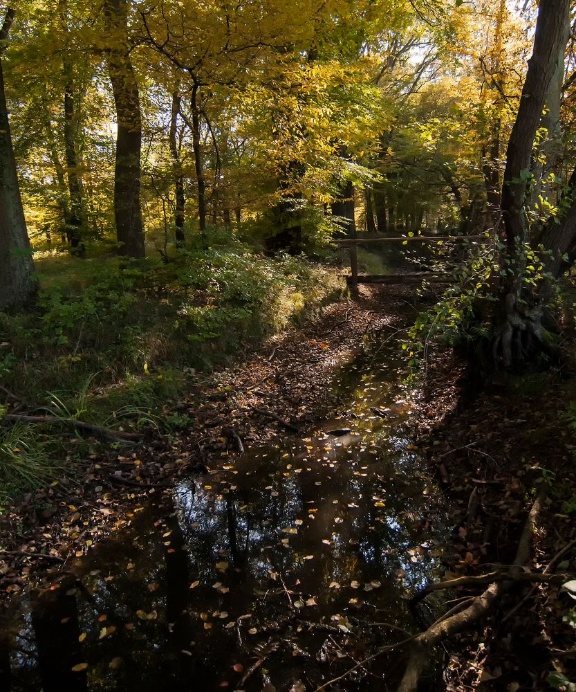 Herbst