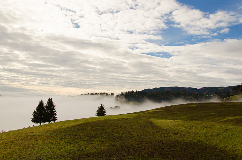 Herbst