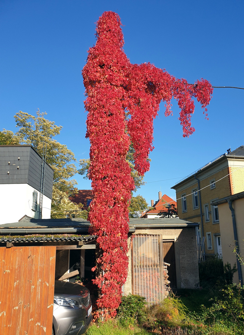 Herbst