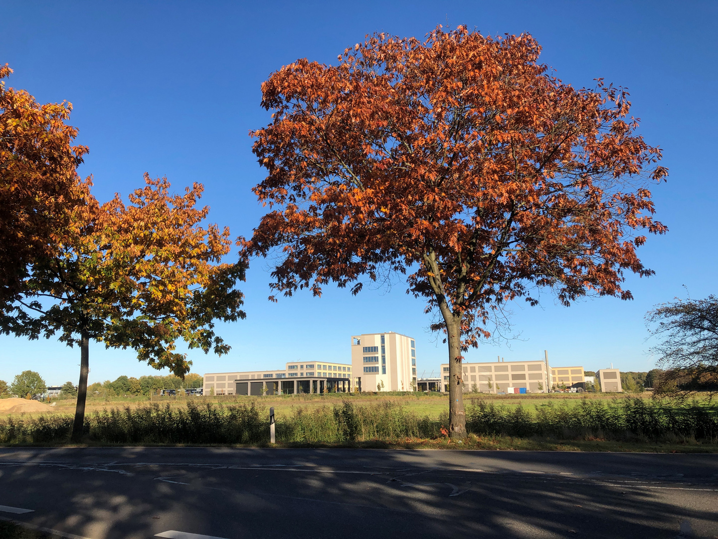 Herbst