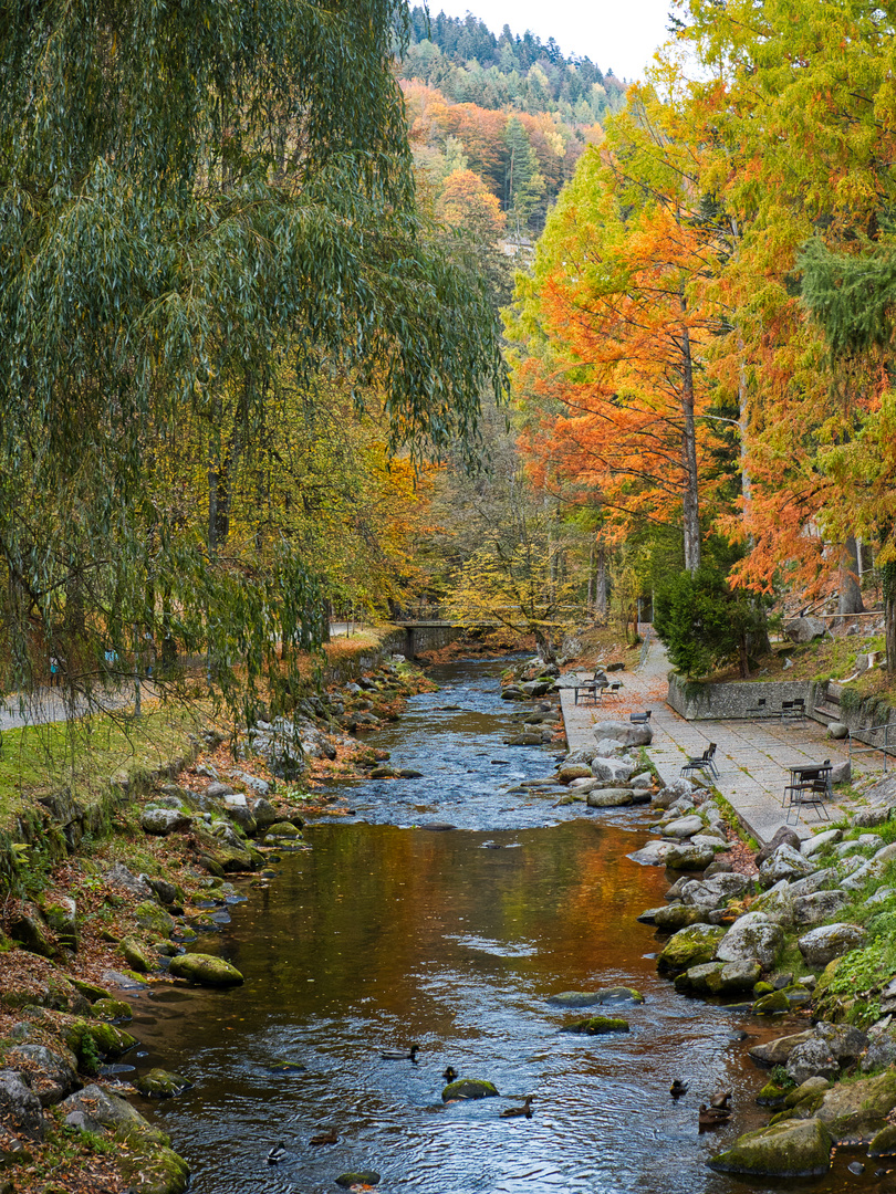 Herbst ...