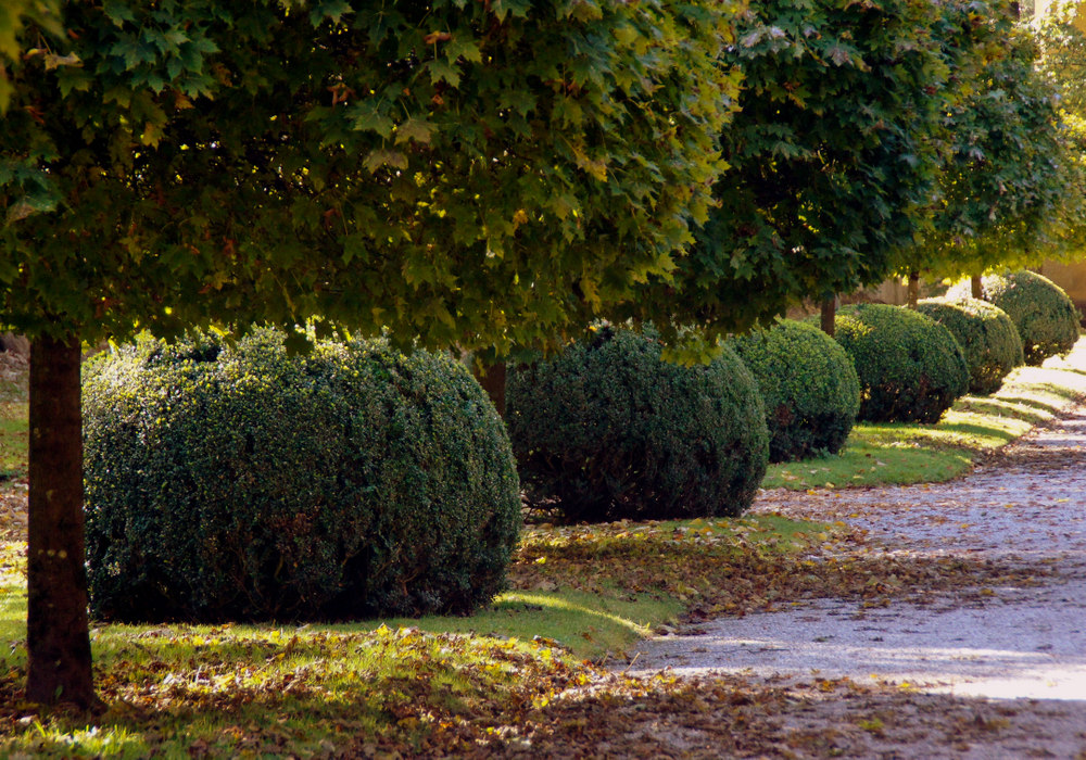 Herbst