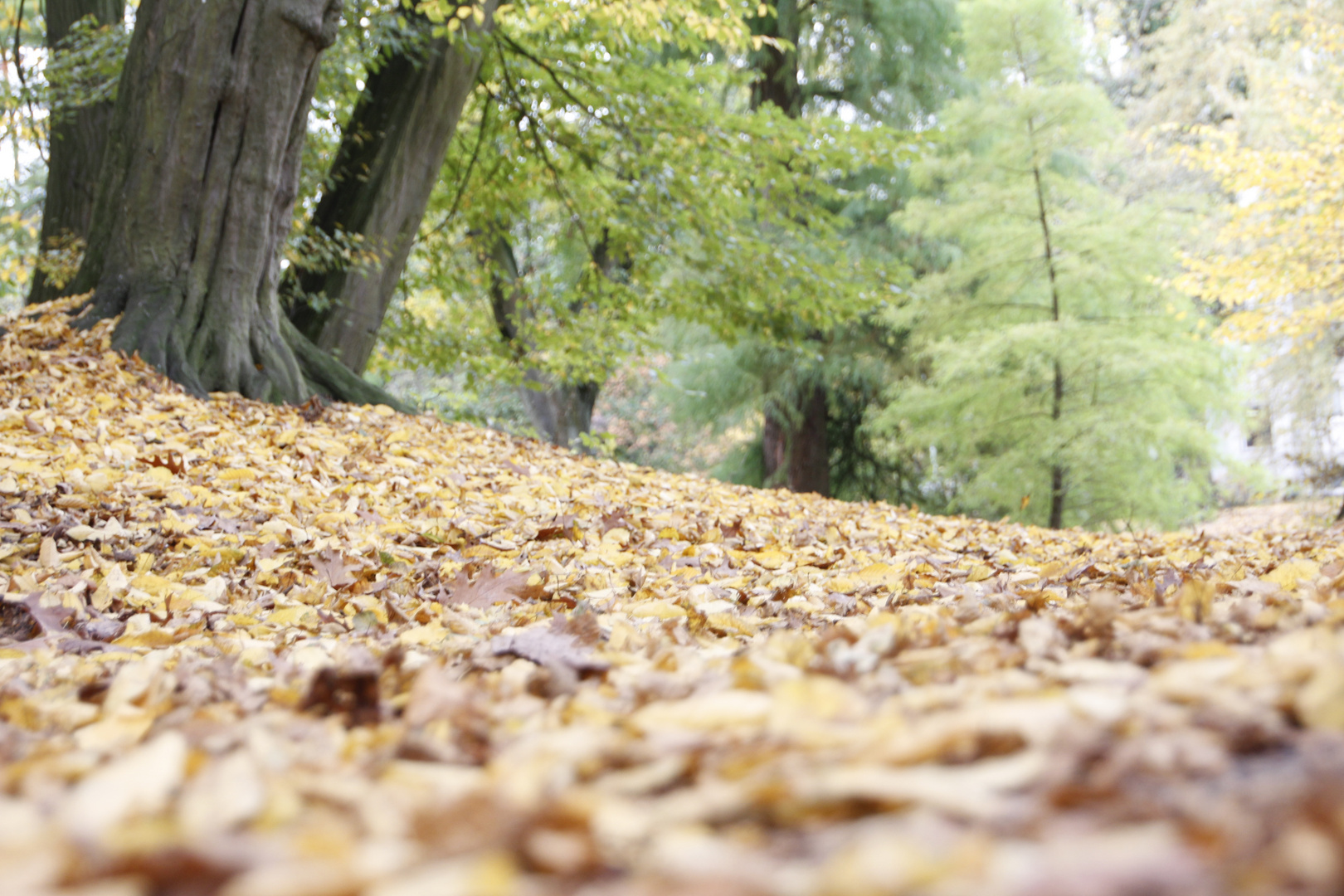 Herbst