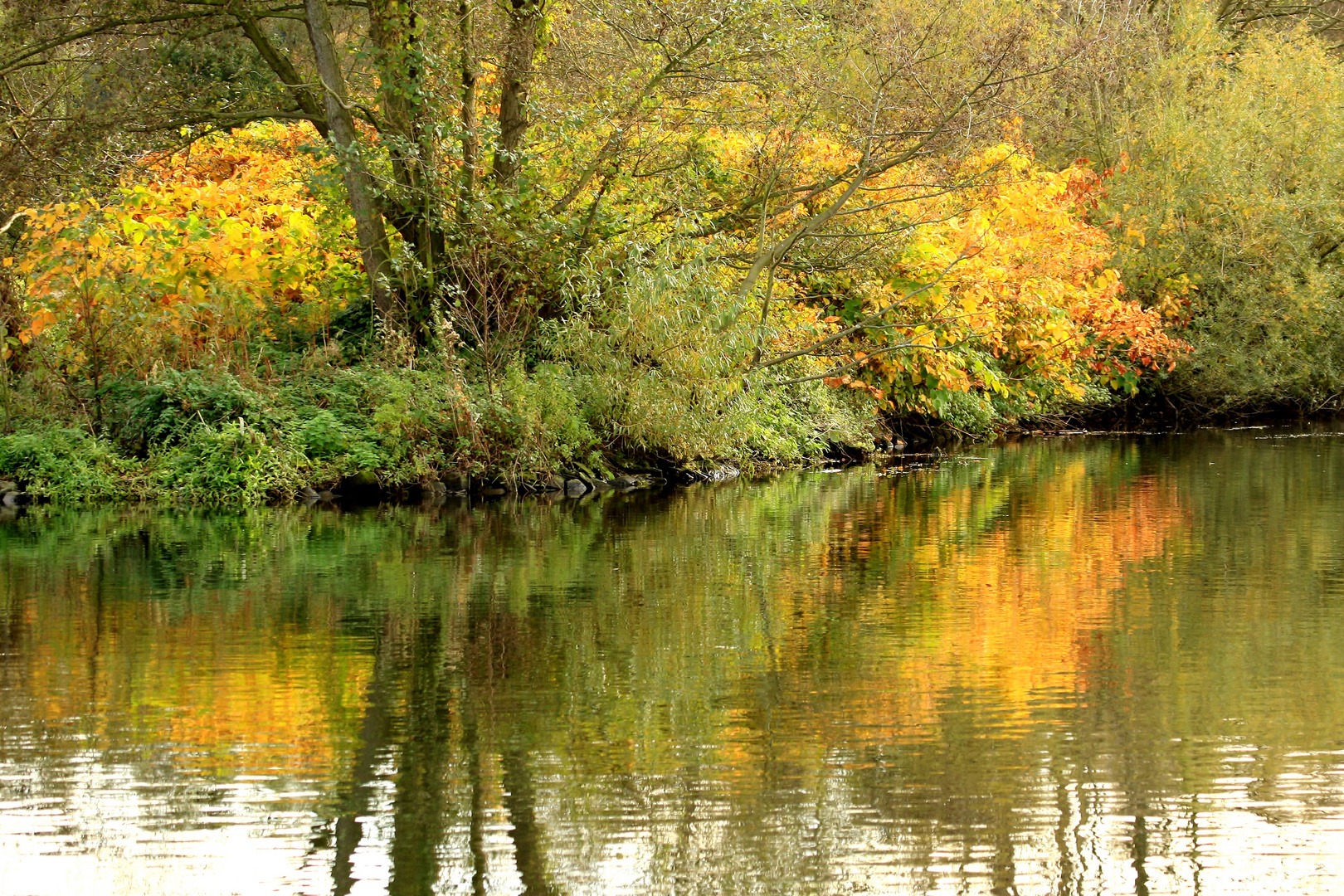 Herbst