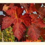 Herbst # 2834_1_1