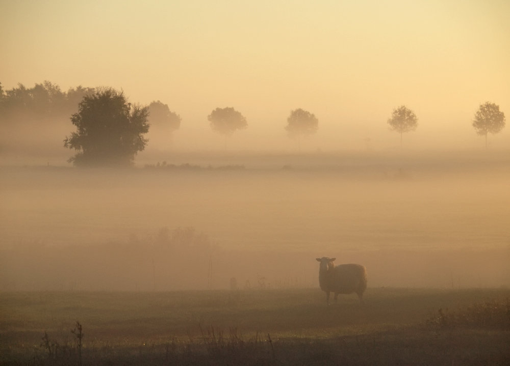 Herbst