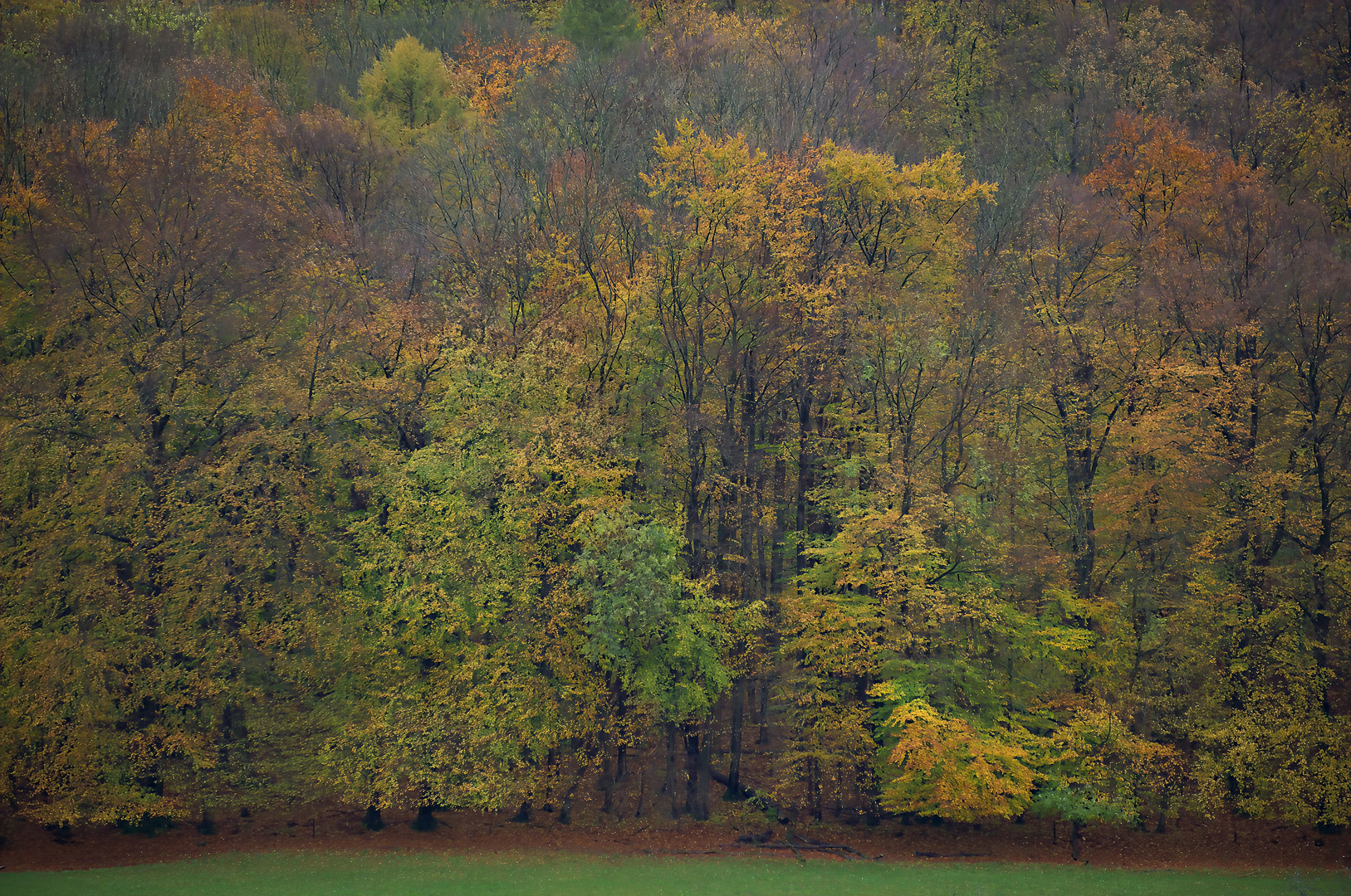 Herbst