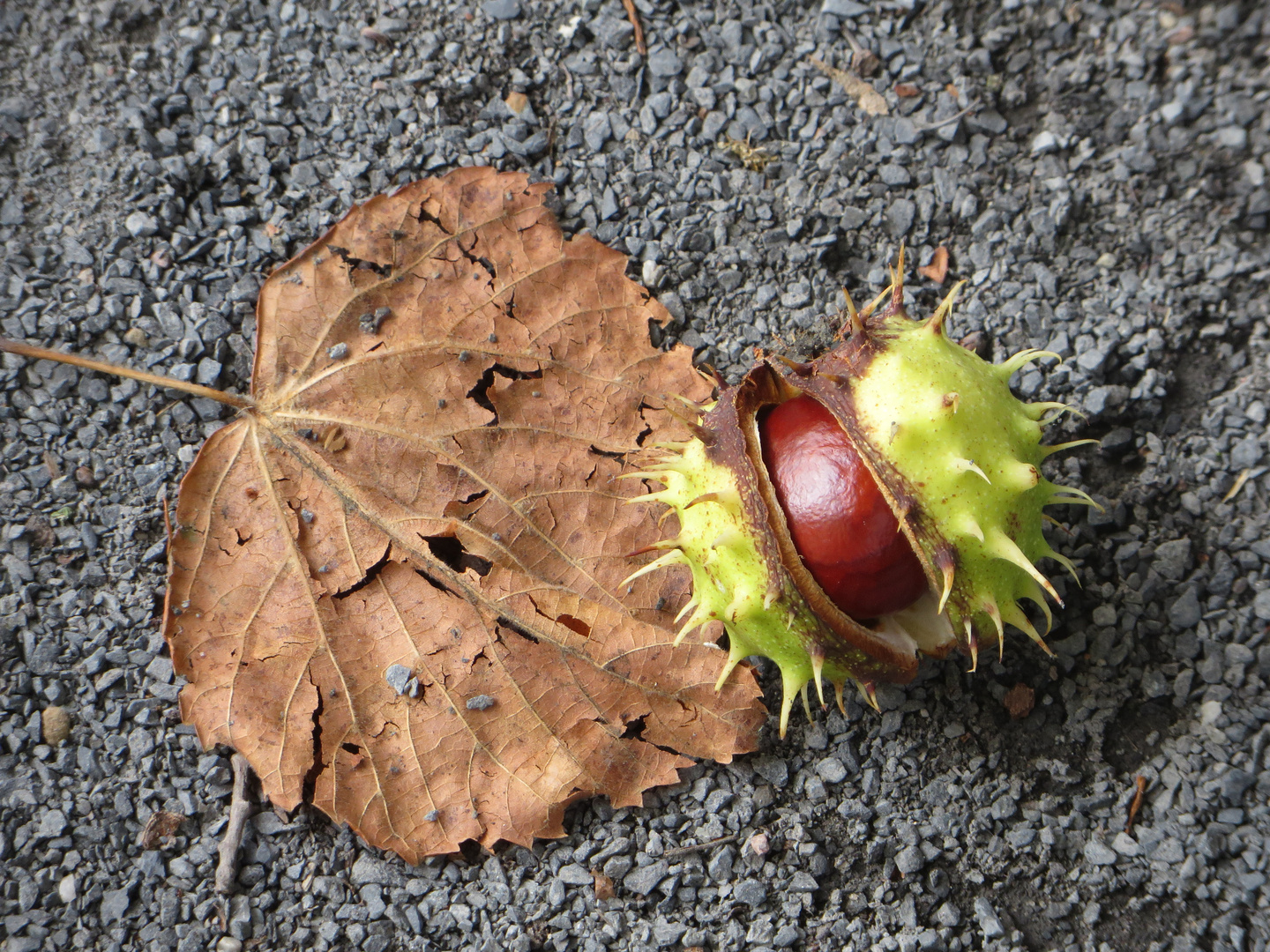 Herbst