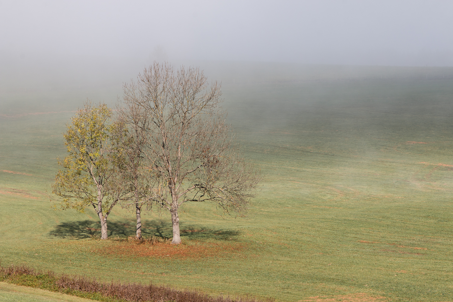 Herbst