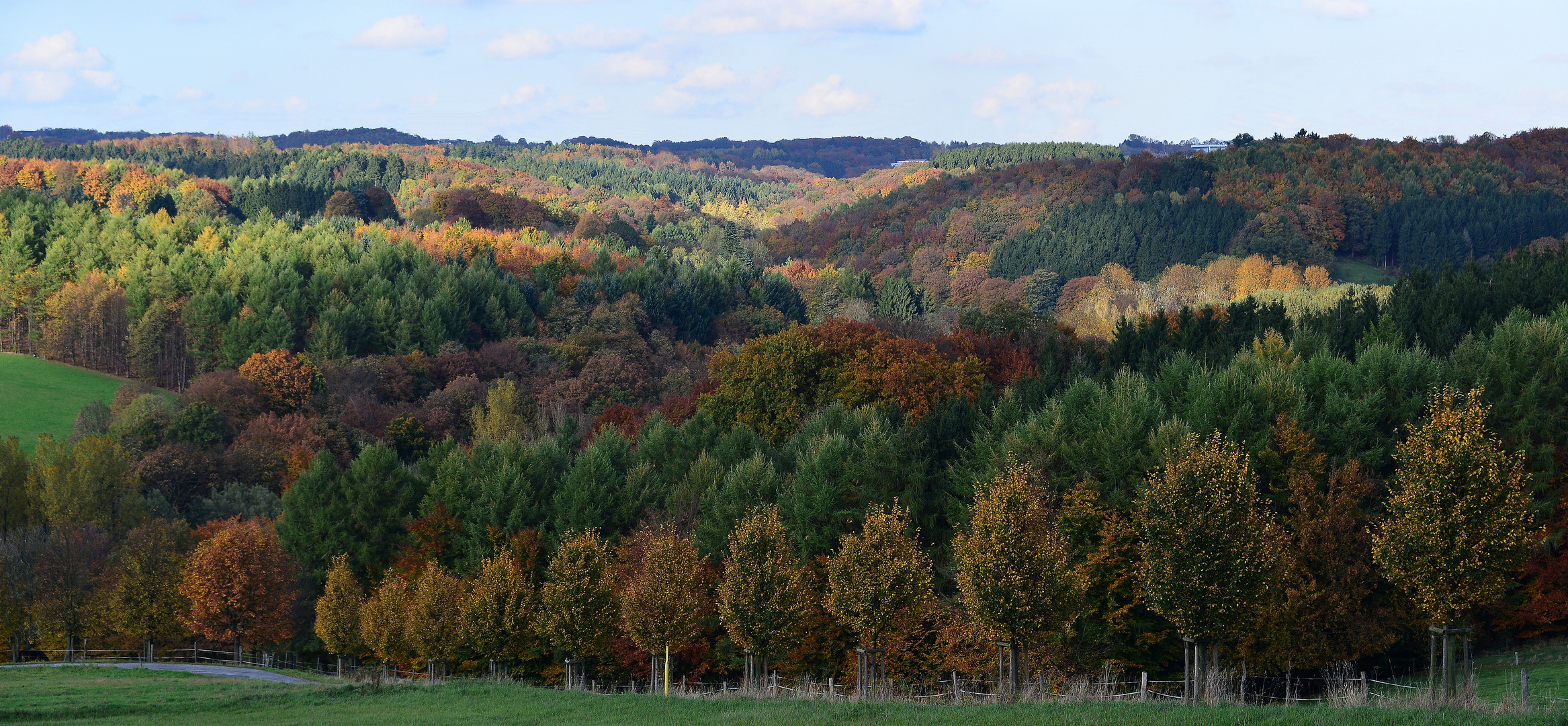 Herbst