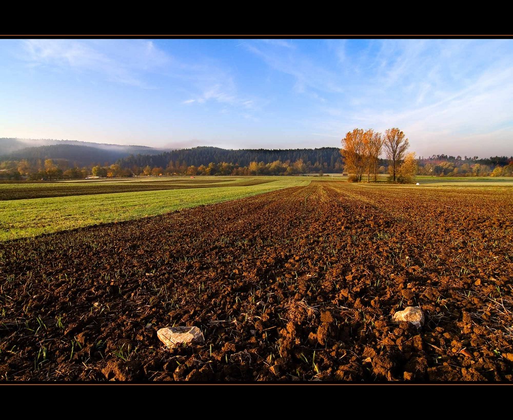 Herbst