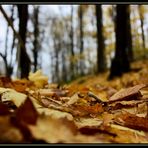 Herbst