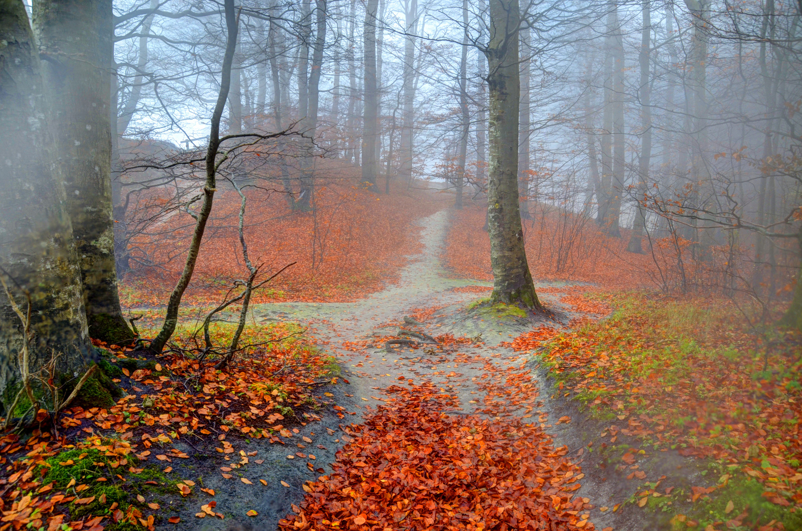 Herbst