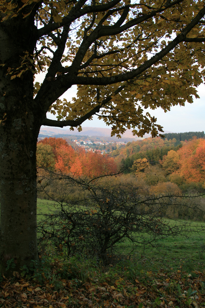 Herbst