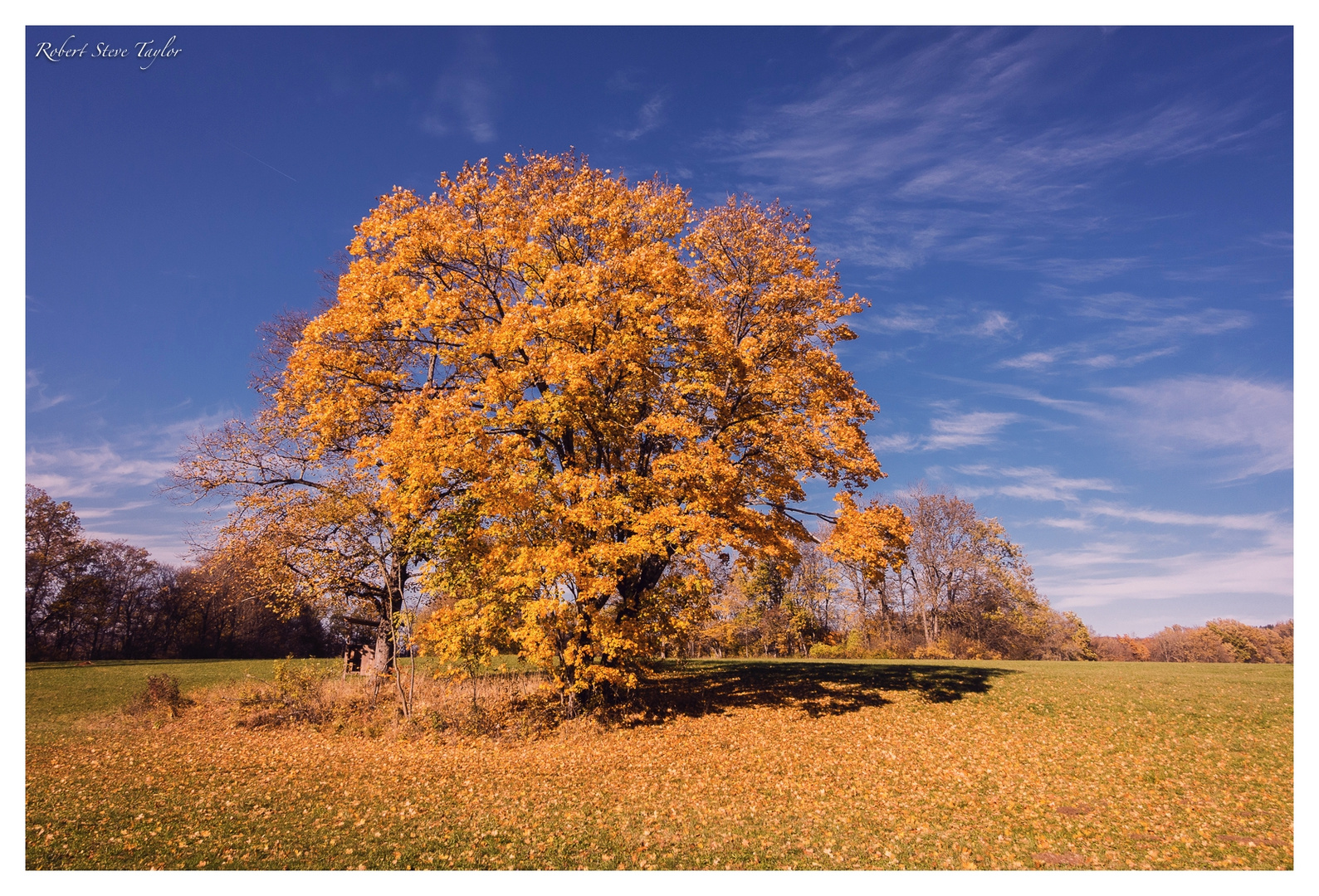 Herbst