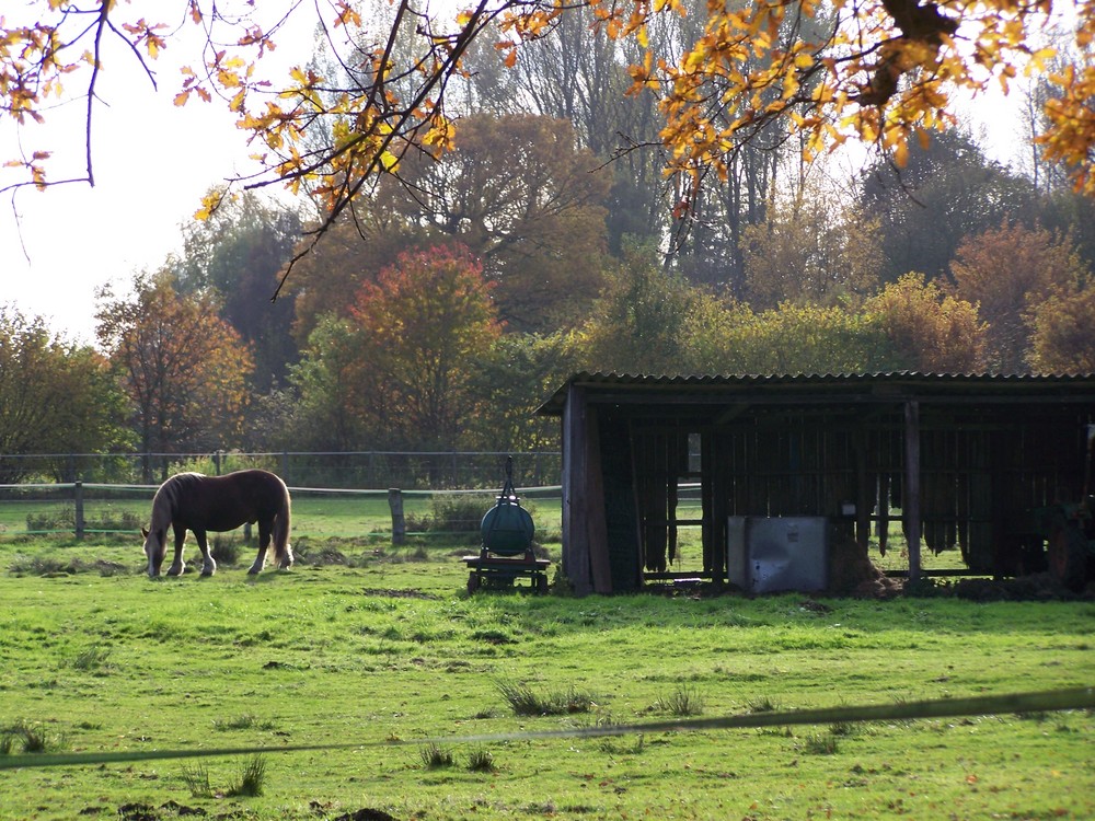 Herbst