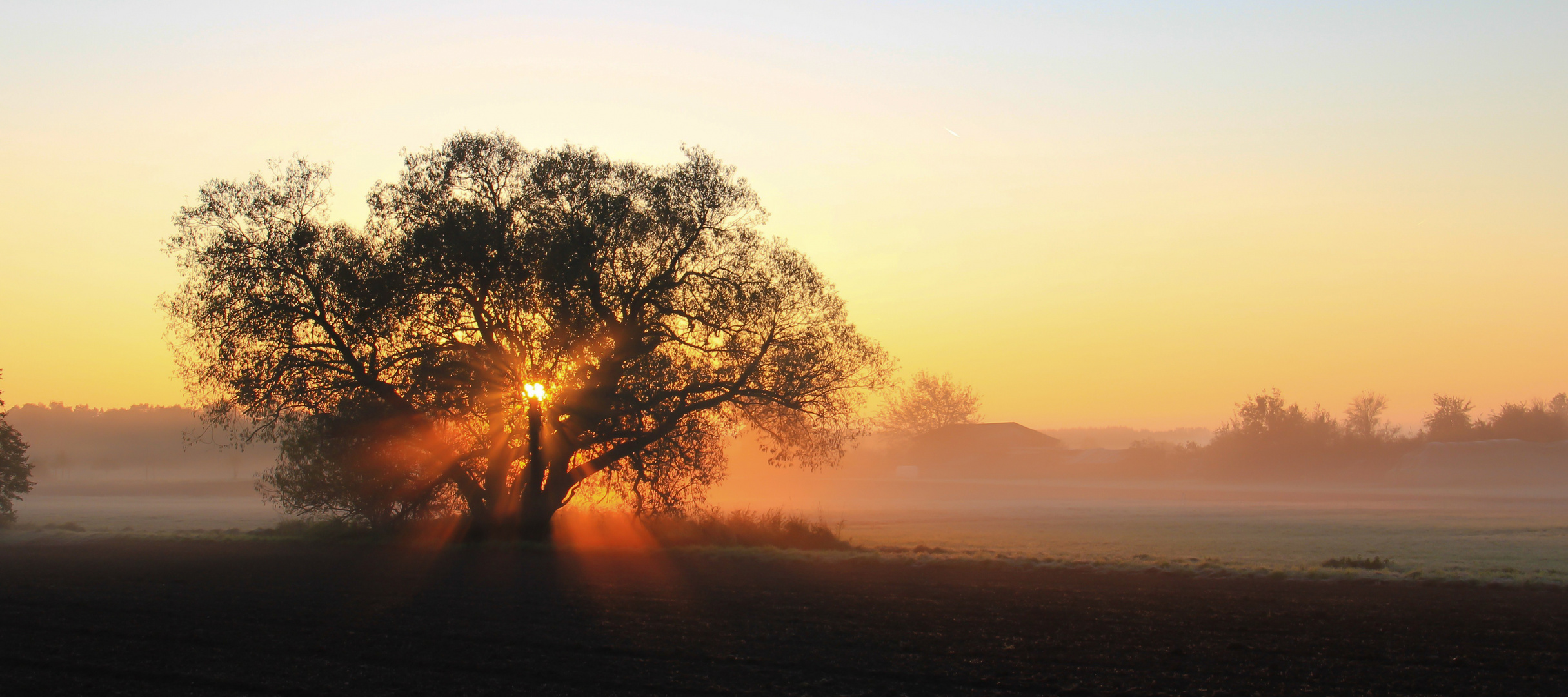 Herbst