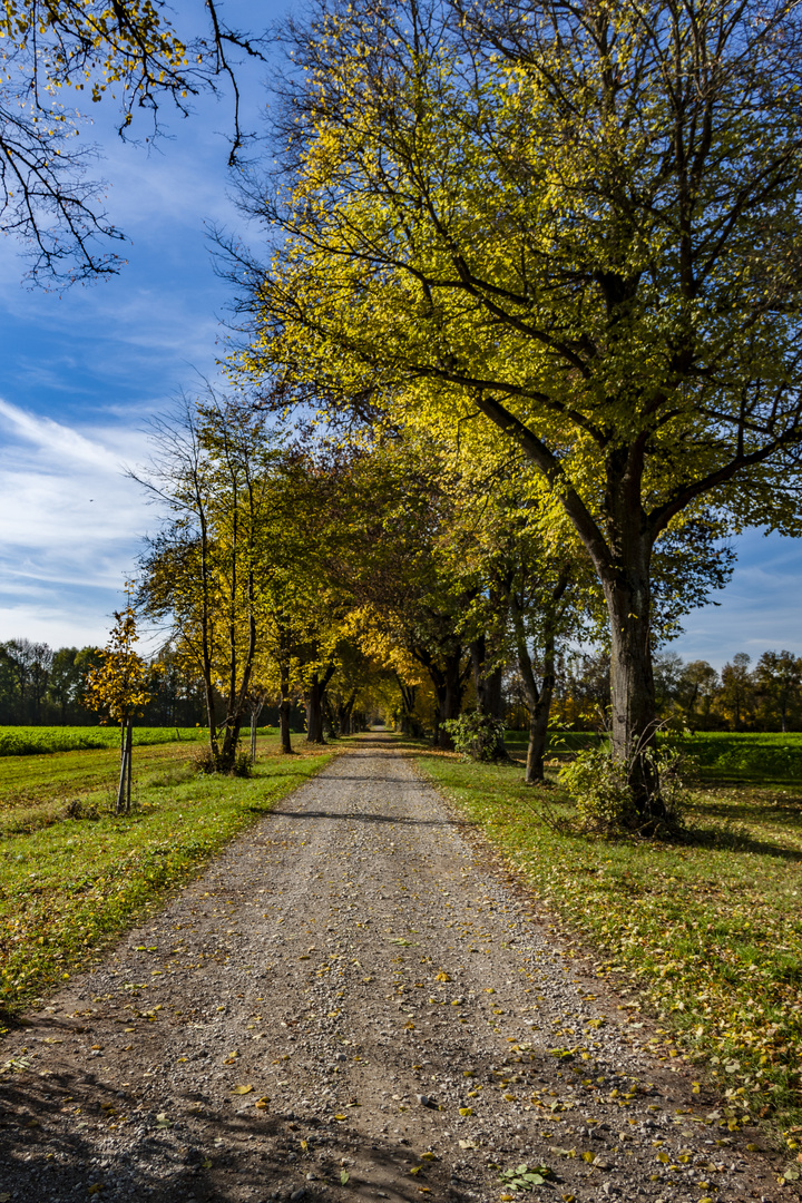 Herbst